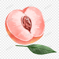妖精动漫APP应用